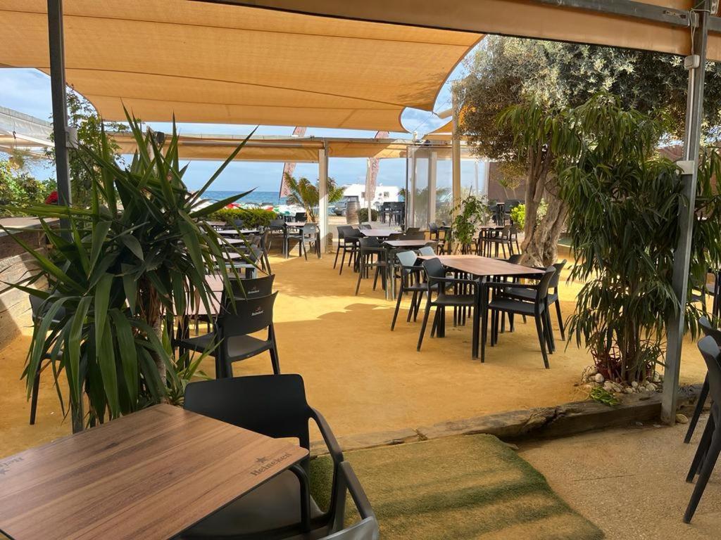 Beach Apartment Amalia 또레비에하 외부 사진